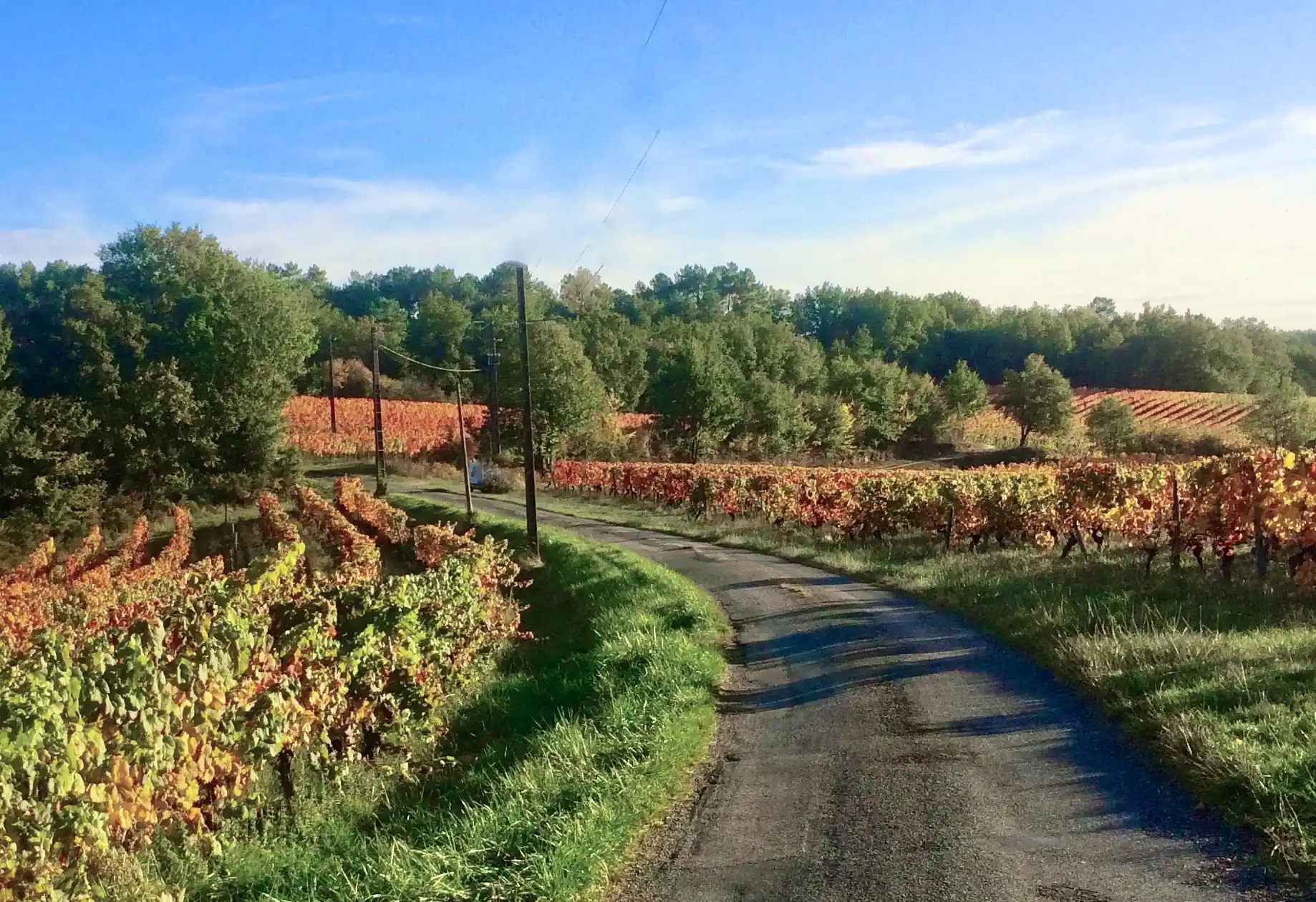 Domain de la Vigne Rouge